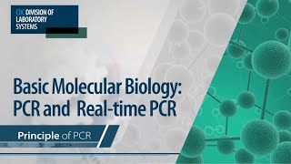 Basic Molecular Biology PCR and RealTime PCR – Principle of PCR [upl. by Melmon]