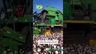 What Makes This Cotton Harvester So Efficient [upl. by Aneis]