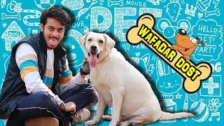 WAFADAR DOST  Cute Relationship Between DOG and HUMAN  PREM BHATI [upl. by Most]