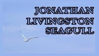 Jonathan Livingston Seagull By Richard Bach Audiobook [upl. by Massiw]