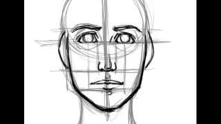 How to Draw a Face Basic Proportions [upl. by Alton]