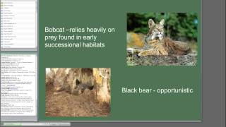 Managing early successional wildlife habitat [upl. by Ilak283]