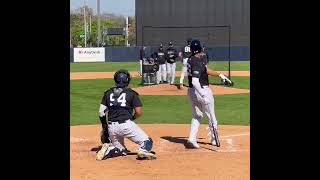 Juan Soto electrifies the crowd 💣 shorts yankees [upl. by Cristabel]