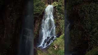 Azores Waterfall Ribiera dos Caldeiroes [upl. by Onilatac57]