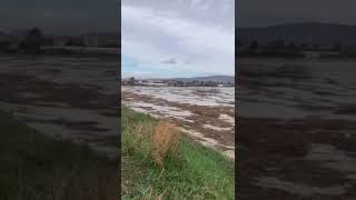 Alluvione in Sicilia Oggi news alluvione flood flooding weather [upl. by Cissie]