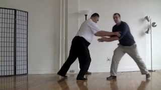 Fight Flight or Sink Interactive Tai Chi Concepts [upl. by Cami936]