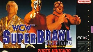 WCW Superbrawl V 1995 [upl. by Charbonnier733]