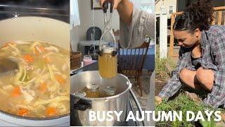 Busy day in the kitchen Homemade bone broth  mom of twins [upl. by Perrine]