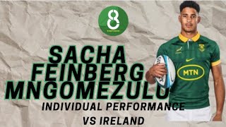 SACHA FEINBERGMNGOMEZULU AGAINST IRELAND  INDIVIDUAL PERFORMANCE [upl. by Siraf]