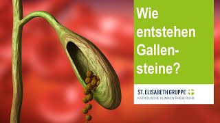 Wie entstehen Gallensteine [upl. by Reddin]