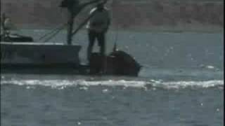 Speedboat Crashes During Race [upl. by Hadeis]