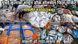 Sassoon Dock Fish Market Mumbai  Sassoon Dock Fish Market Latest Video  Colaba Fish Market Mumbai [upl. by Llehcram]