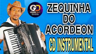 ZEQUINHA DO ACORDEON  CD INSTRUMENTAL 2024 [upl. by Yeaton]