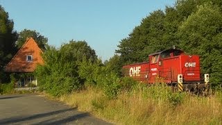 OHE Holzwagen für Soderstorf [upl. by Isyed670]