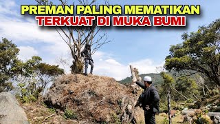 USTADZ KBK DATANGI BOS PREMAN TERKUAT DI PUNCAK GUNUNG [upl. by Hterag]