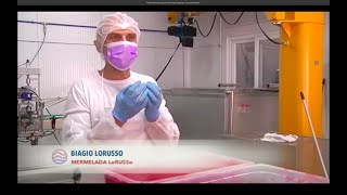 Programa TIERRA Y MAR  Canal Sur TV  Mermeladas Gourmet Ecológicas LoRUSSo [upl. by Eldrid563]