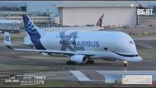 Airbus Beluga XL Departure at Heathrow Airport [upl. by Refinneg179]