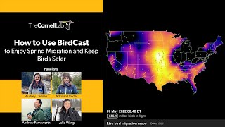 How to Use BirdCast to Enjoy Spring Migration and Keep Birds Safer [upl. by Darelle112]