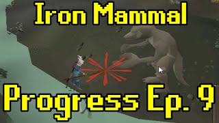 Oldschool Runescape  2007 Iron Man Progress Ep 9  Iron Mammal [upl. by Moclam]