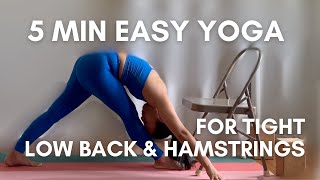 Easy yoga pose with a chair  Hamstring and low back stretch  Pyramid pose Parsvottanasana [upl. by Bryana]