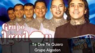 Grupo Algodon de el salvador Te Dire Te Quiero [upl. by Alyal]