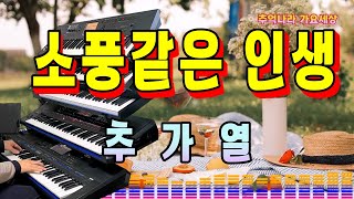 소풍같은 인생추가열전자올겐 연주흘러간 옛노래Korean Old Pop song [upl. by Tandie]