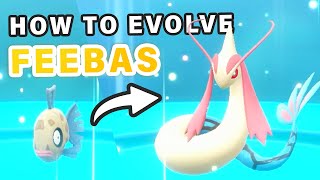 How to Evolve Feebas into Milotic ► Pokemon Scarlet amp Violet [upl. by Annatnas]