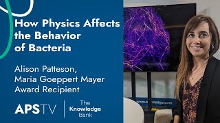 How Physics Affects the Behavior of Bacteria  Alison Patteson Maria Goeppert Mayer Award Recipient [upl. by Hada]