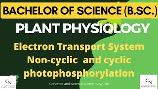 Cyclic and non cyclic photophosphorylation  Academy by Ayushi  For BSc students  Notes [upl. by Spragens]