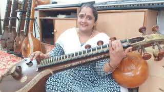 Abhogi Varna in Veena  Evvari Bodana  Vanishree [upl. by Ylerebmik]