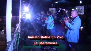 Aniceto Molina La Charamusca y La Cumbia Sampuesana En Vivo [upl. by Appel974]