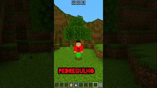 GERADOR mais simples e eficiente de PEDREGULHO [upl. by Shantha]