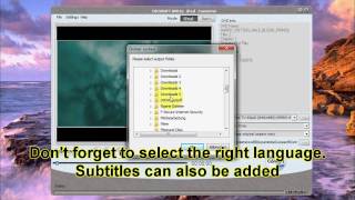 How to Convert DVDs to iPod Cucusoft DVD to iPod Converter [upl. by Smiga]