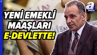 Yeni Emekli Maaşları EDevlette Fazla Görünen Miktar Ne Anlama Geliyor Faruk Erdem Yanıtladı [upl. by Ailecra693]