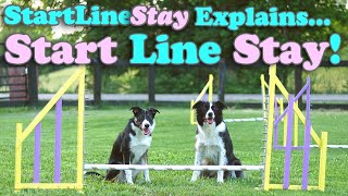 How to Train Your Dogs to Stay in Agility  Laramies Start Line Stay Demo [upl. by Brown]