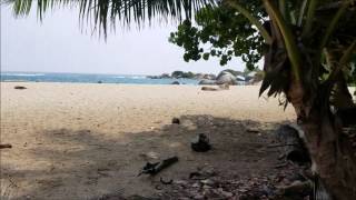 TAYRONA NATIONAL PARK COLOMBIA  Monkeys beaches hiking camping [upl. by Farron508]