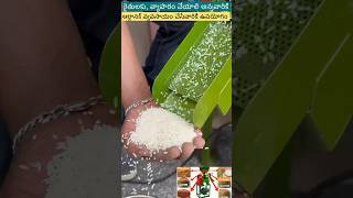 Best 3HP Mini rice mill agriculture farming ricemill farmer ricemiller trendingshorts [upl. by Eiclehc590]