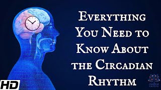 Everything You Need To Know About The Circadian Rythm [upl. by Bramwell]