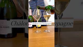 DELICIOUS 🍾 Champagne tasting anyone champagne champagnetasting francechampagne [upl. by Abbotsen]