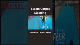 Carpet Cleaning Commercial [upl. by Croydon229]