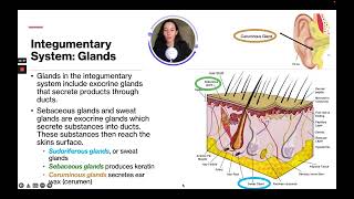 ATI TEAS 7 Science Course  Integumentary System [upl. by Reitman]