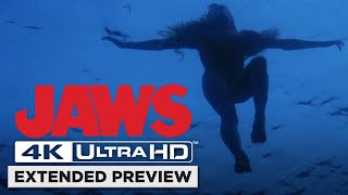 Jaws Shark with barrels HD CLIP [upl. by Ahter]