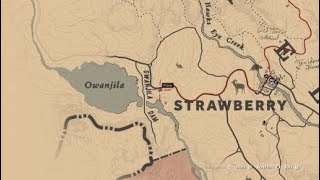 Red Dead Redemption 2  Doublecrested Cormorant Location [upl. by Alemak]