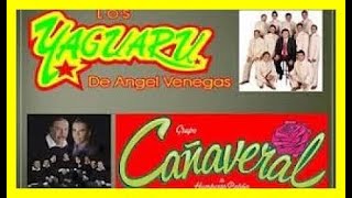 Cumbias viejitas pero bonitas para bailar  Cañaveral Vs Yaguaru Grupazos de la Cumbia [upl. by Gnourt348]