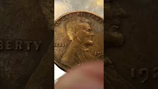 250K amp Ultra Rare 1929 Wheat pennyError pennycoinsmoneyrarecoinsmoney [upl. by Studnia35]