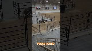 BEHIND DA SCENES VEGAS RODEO🐴 countrymusic vegas lv rodeo lasvegas cowboys shortvideo HORSE [upl. by Unders804]