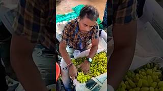 Fruit Harvesting video in India  Vineyard Grape Harvest  shorts grape [upl. by Htezzil543]