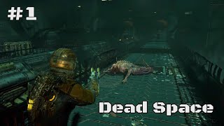 Its Crawling Its Crawling  Dead Space Part 1 [upl. by Einahteb]