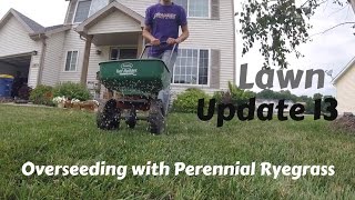 Overseeding With Perennial Ryegrass [upl. by Manson]