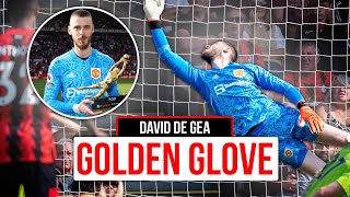 INCREDIBLE Golden GloveWinning Saves 🧤  David De Gea Player Cam 202223 🎥 [upl. by Ardnohsal]